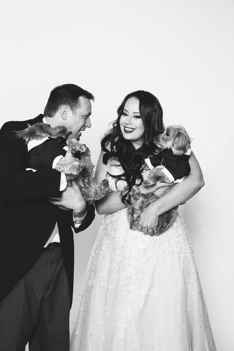 humans cuddling their dogs while wearing wedding attire, ©Nicole Caldwell Photography | studio engagement portraits with dogs