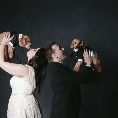 Baloo and Mowgli | Studio Engagement Session With Dogs