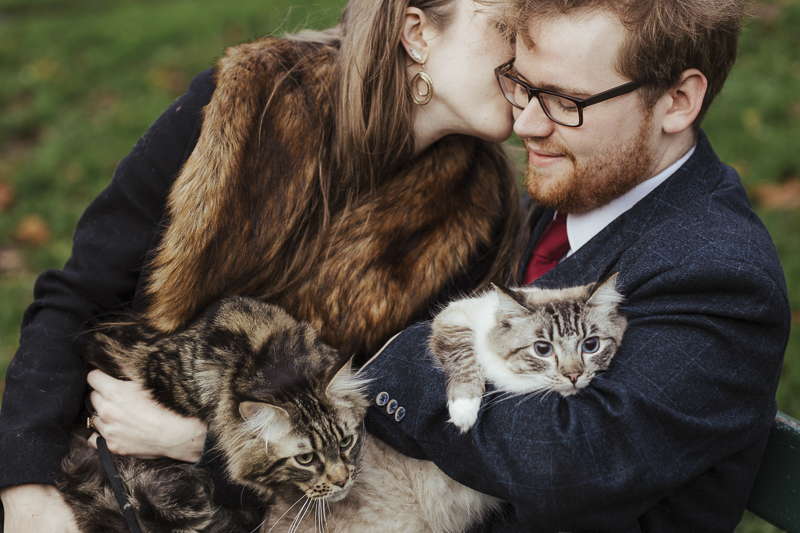 woman kissing man, while holding cats on their laps, ©Olga Hogan Photography | cat-friendly engagement photos, Dublin, Ireland