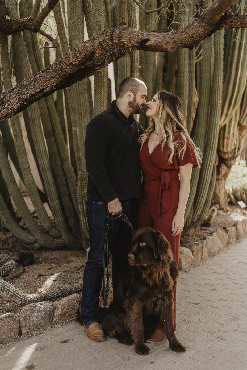 ©Traci Edwards Photography | lifestyle dog photography, Newfie and couple in Desert Botanical Gardens