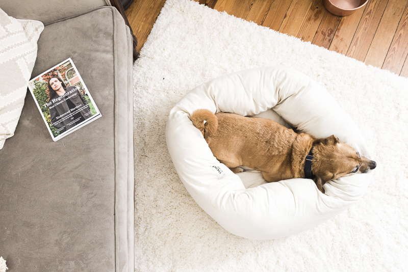 nest bedding dog bed