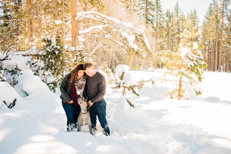 dog-friendly maternity session south lake tahoe, couple and their mixed breed dog in the snow, merle Great Dane mix