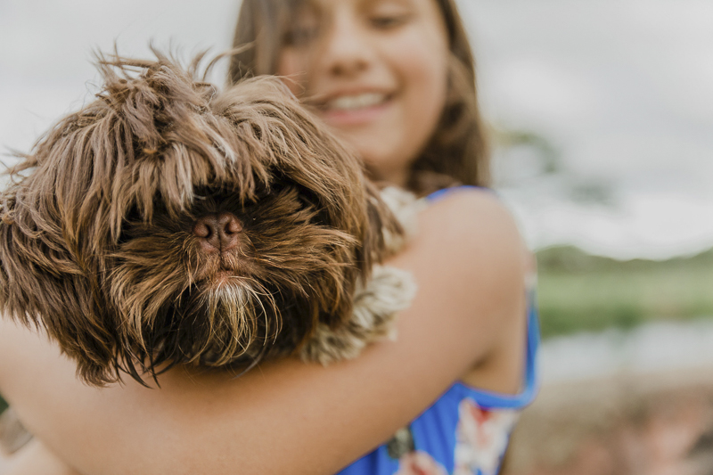 small brown dog in girl's arms, family photos with a dog | ©Storm Elaine Photography 