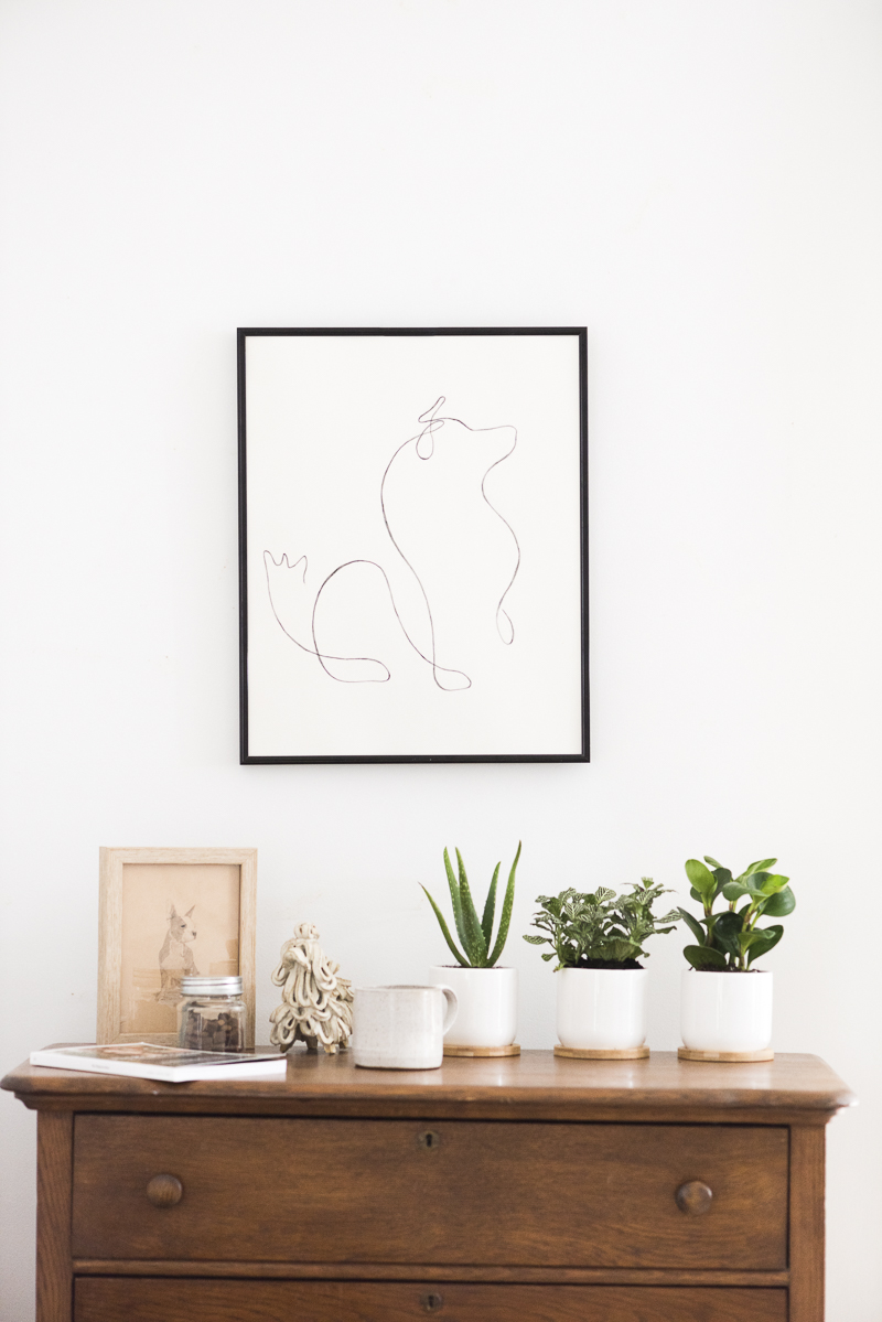 line drawing of dog, ceramic pots for plants, vintage furniture, ©Alice G Patterson Photography | Syracuse commercial and editorial photography