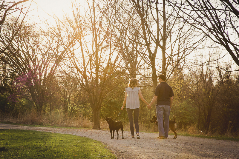 couple holding hands and walking dogs, Patterdale terrier, ©Irish Eyes Photography | St Louis Pet Photography