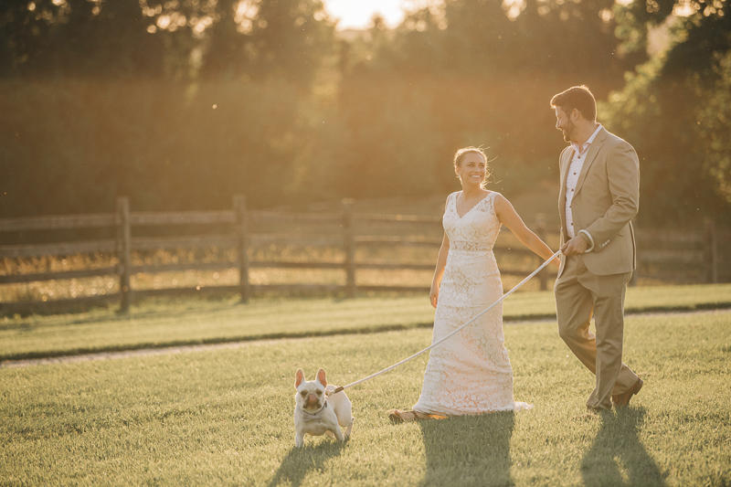 bride and groom walking their dog on the lawn, Landrum Photography | dog-friendly styled shoot at Bohemia Outlook