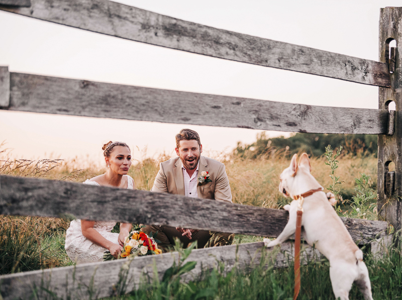 bride and groom looking at their French Bulldog, rustic wedding ideas, creative dog photography