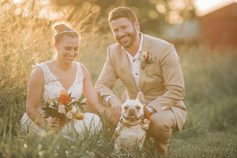 bride, groom and their dog in the grass, golden hour wedding portraits | Landrum Photography 