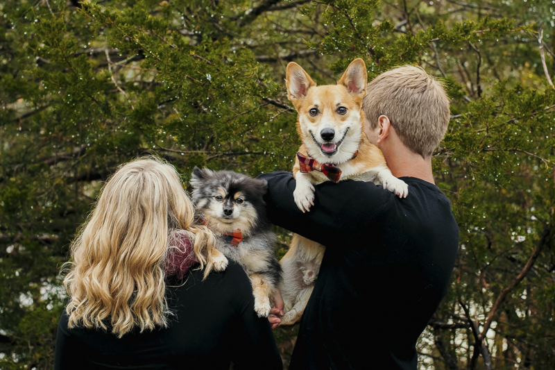 couple holding their dogs over their shoulders, Pomeranian, Corgi, ©Madison Robertson Photography | lifestyle dog and family photos