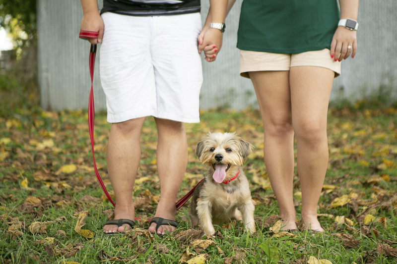 couple holding hands with small dog between them, dog photography ideas | Mandy Whitley Photography