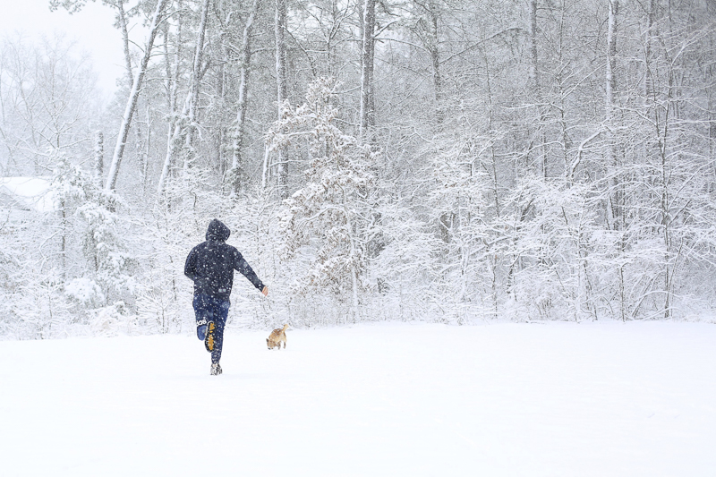 dog and man playing in the snow, winter pet portraits ©Melissa Joy Creative 
