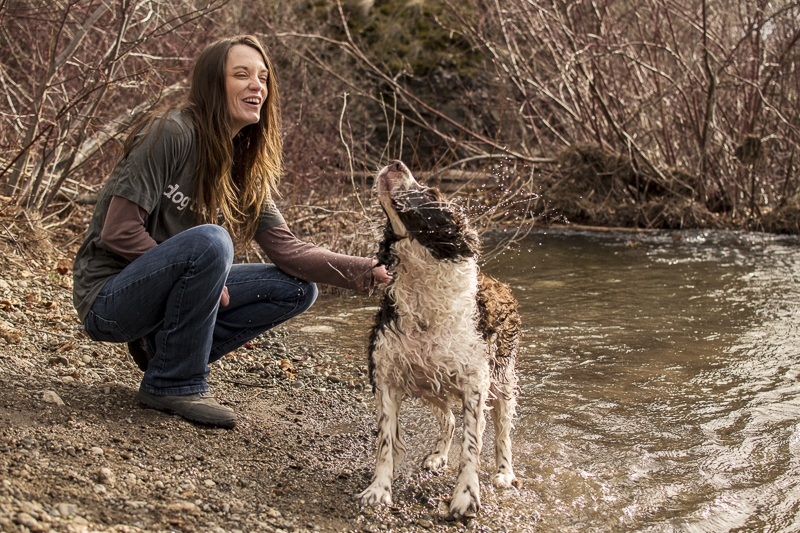 #agirlandherdog, Springer spaniel shaking off water, on location dog photography | ©Noses and Toes Photography, Spokane lifestyle dog photography