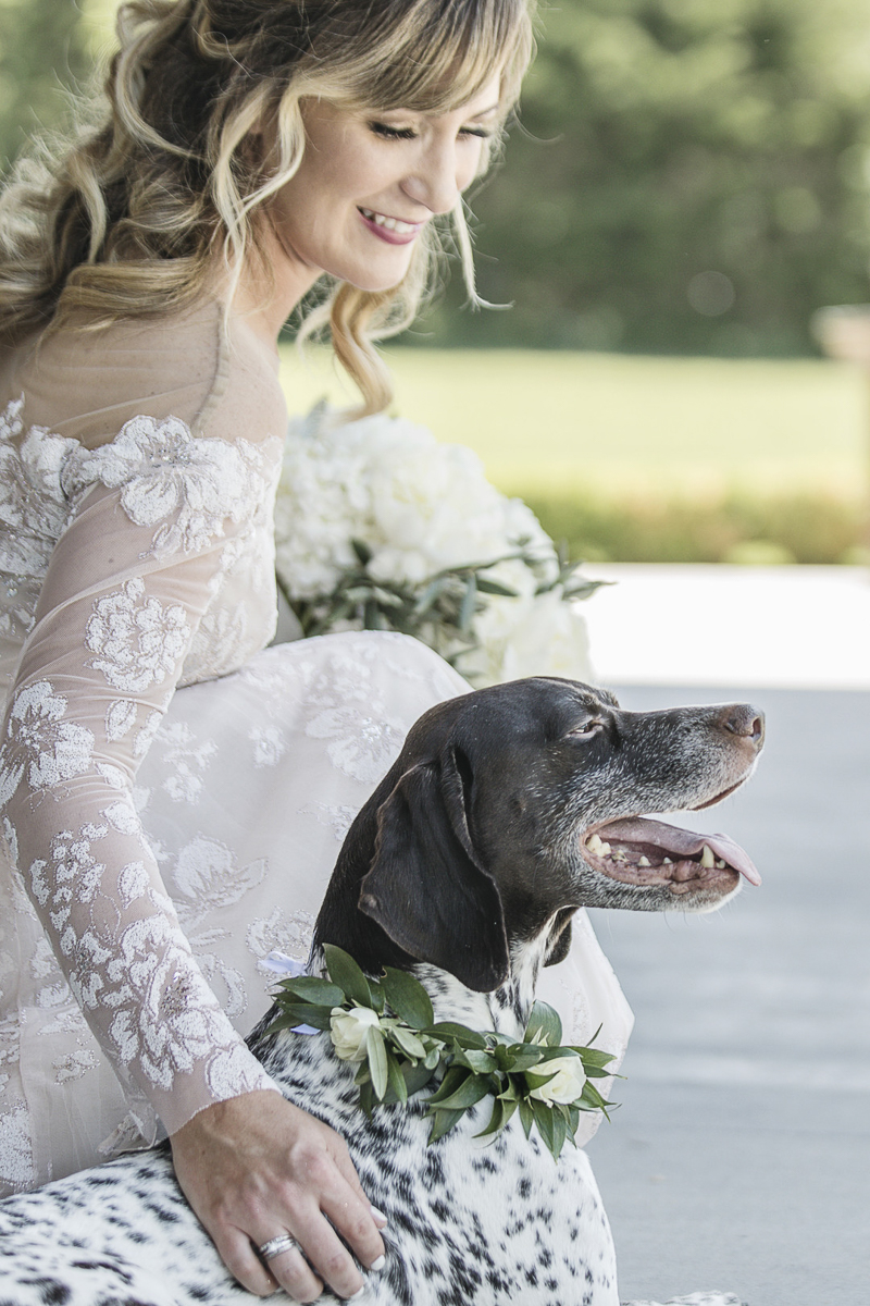 bride petting her dog, dogs in weddings, © epagaFOTO 