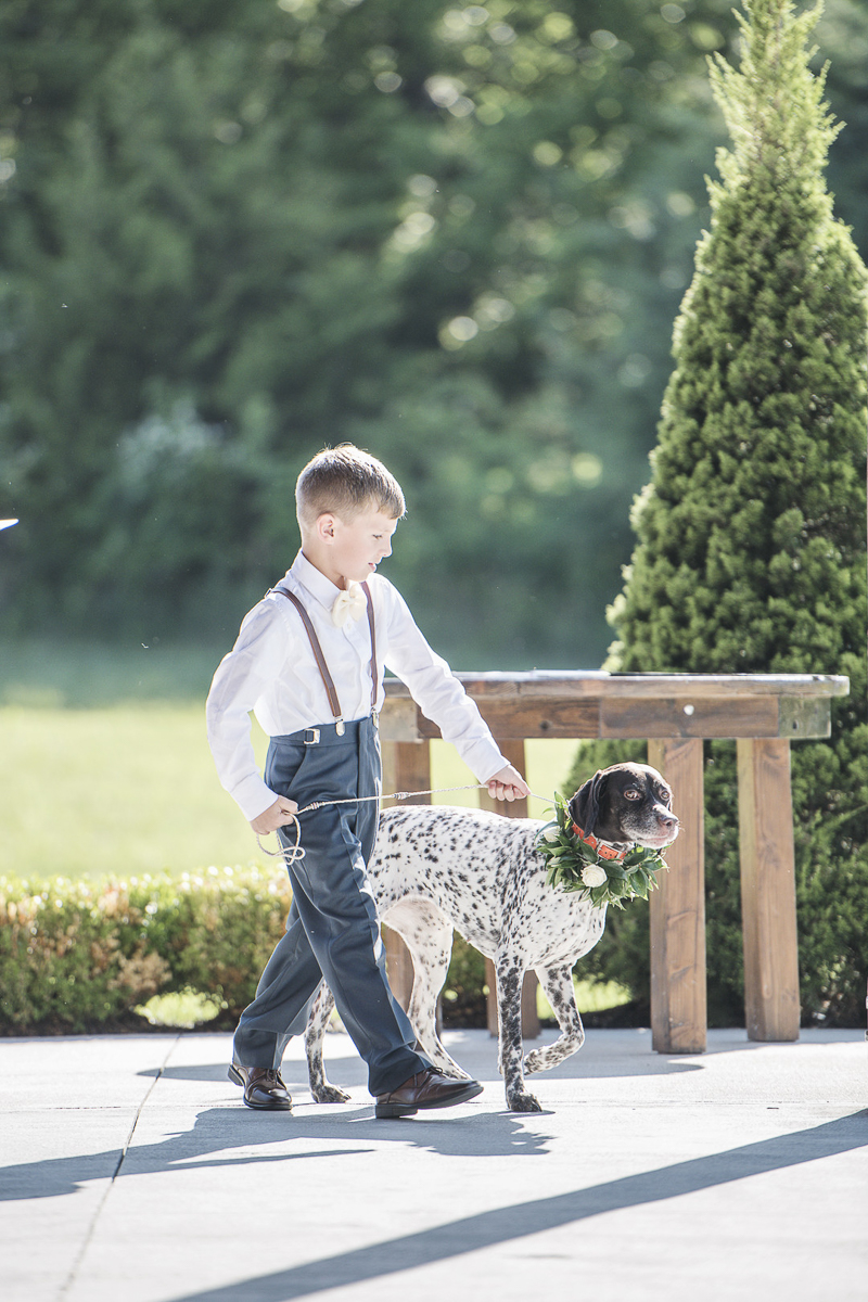 little boy walking dog in wedding ceremony, © epagaFOTO 