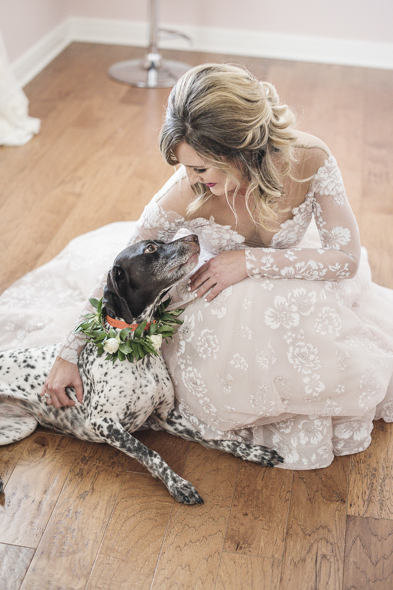 bride wearing blush wedding dress and her dog, German Shorthaired Pointer | © epagaFOTO | dog-friendly wedding, Buffalo Lodge. Kansas City