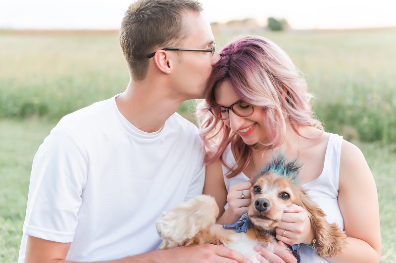© Photos by Ariel, sweet spaniel with blue hair, engagement pictures with a dog