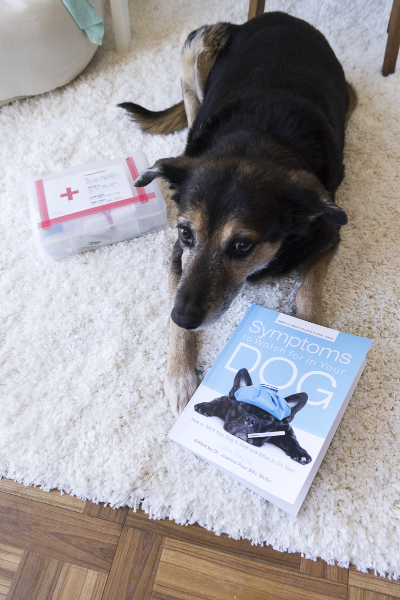Must have dog book recommendation | Symptoms To Watch Out For In Your Dog Review, ©Alice G Patterson Photography 