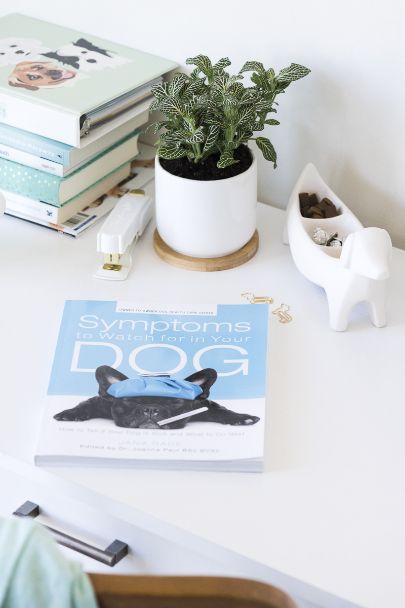 ©Alice G Patterson Photography | Symptoms To Watch Out For In Your Dog-review and giveaway