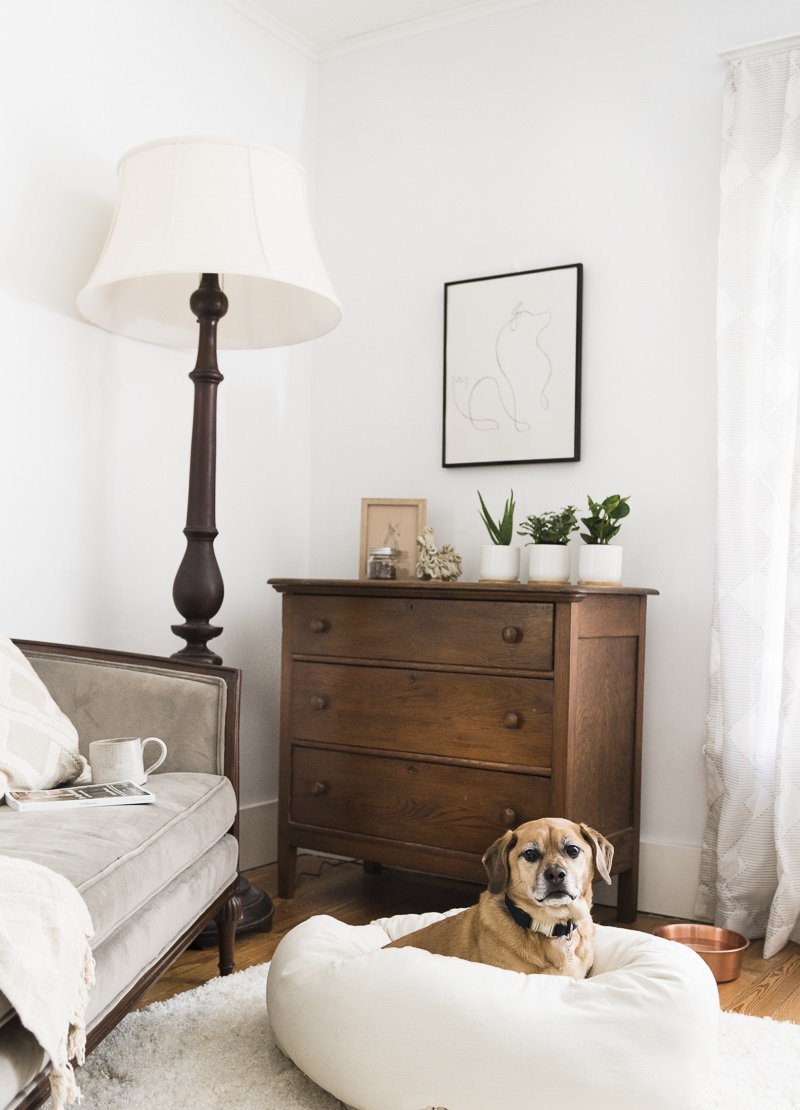 dog-friendly bedroom, vintage furniture, modern dog art, dog at home, ©Alice G Patterson Photography | Syracuse dog photographer