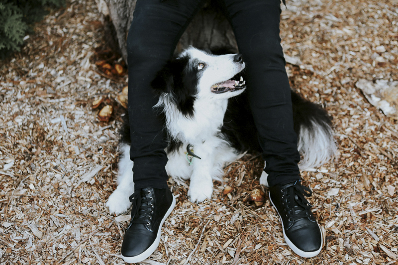 Border Collie looking up between human's feet, ©Dogfolk | Melbourne Pet Photographer | Storyteller - in home dog photography