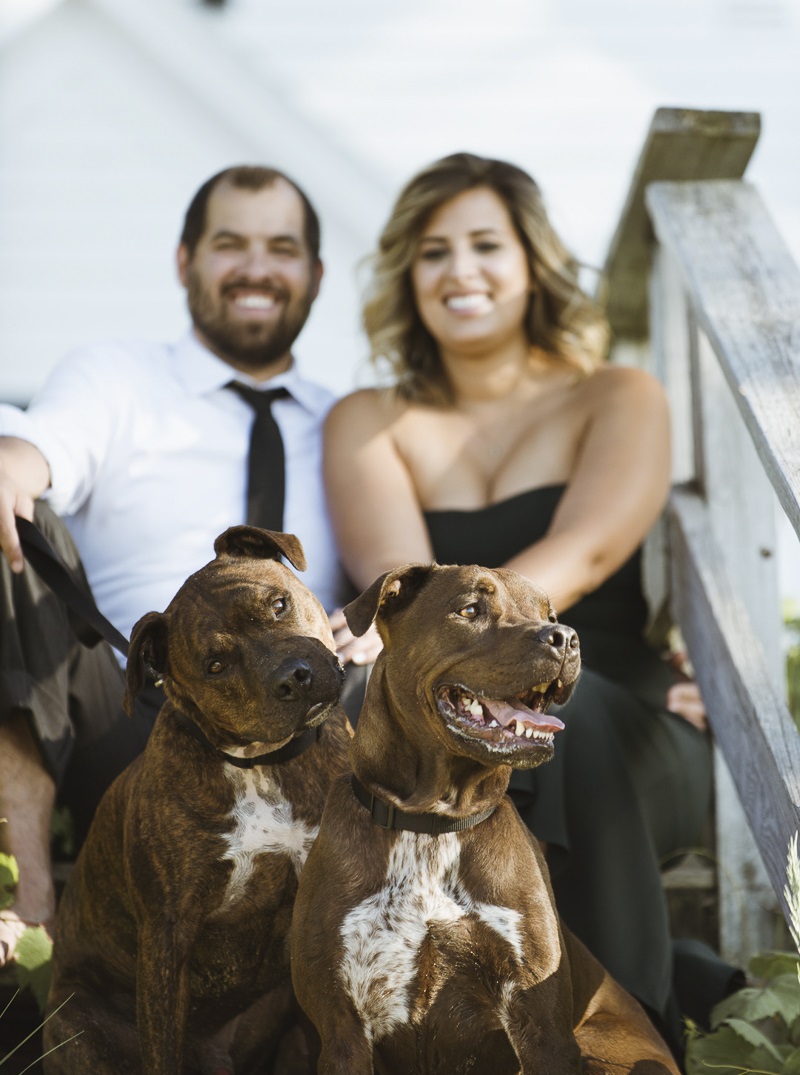 ©Meridian Photography | handsome pitbulls and their people, beach engagement photos