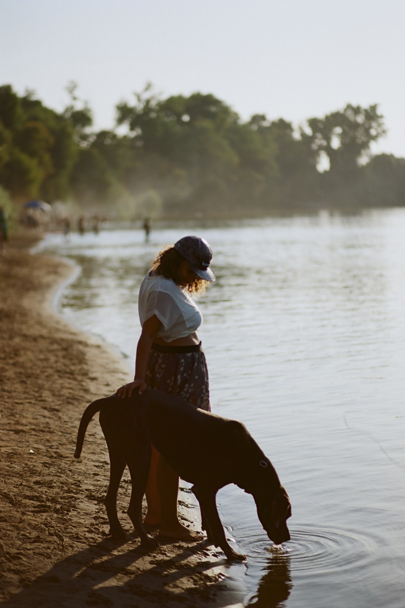 maternity session with a dog, lifestyle dog photography | ©Rachel Sima Photography | fine art dog portraits