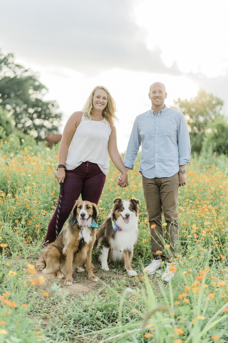couple holding hands, family photos with St. Bernard mix and Aussie, ©Yesenia Bocanegra Photography | Raleigh dog-friendly family portraits