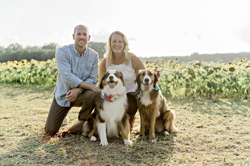 family photos at sunflower patch, ©Yesenia Bocanegra Photography | Raleigh dog photography