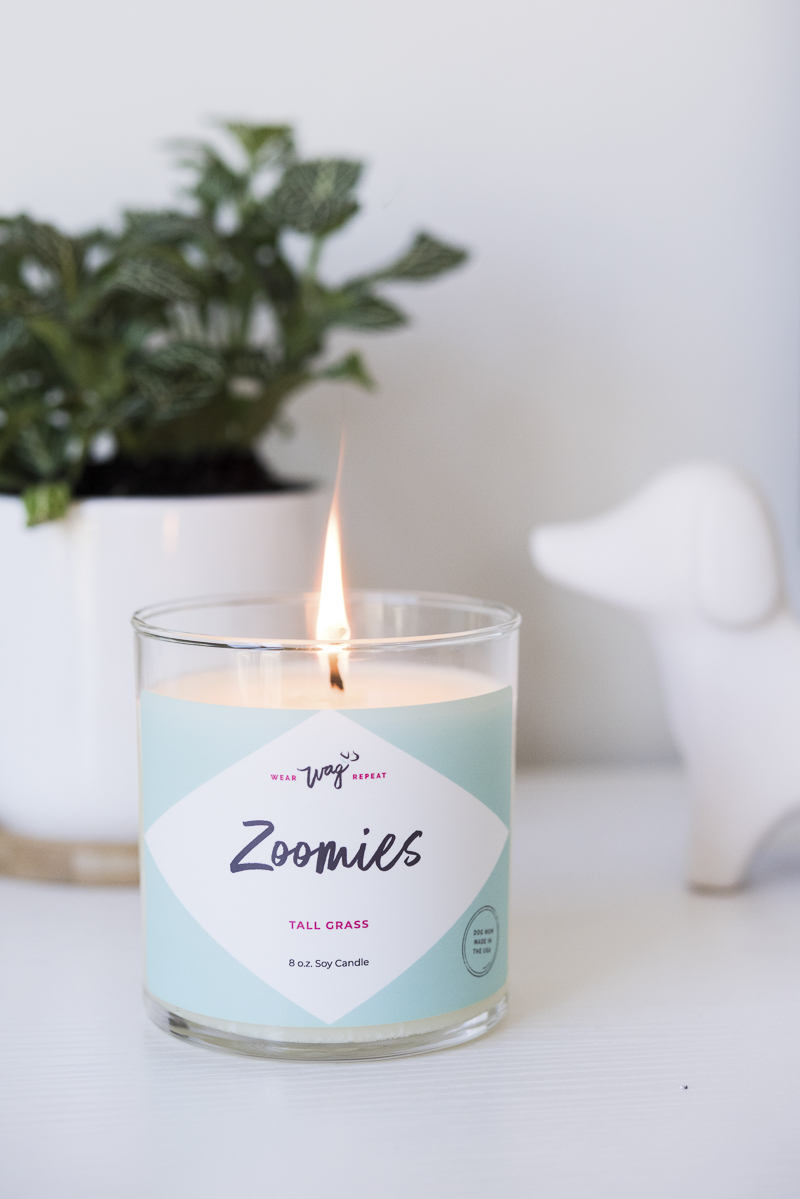 dog-safe candle on desk | Wear Wag Repeat Zoomies candly