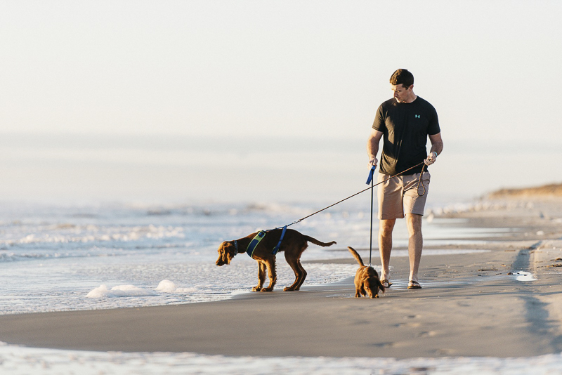 dogs and man at the beach, beach dogs, ©Dailey Alexandra Photography | lifestyle dog photography, 