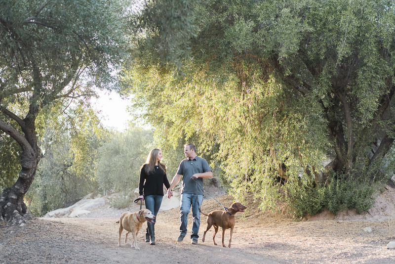 couple walking their dogs, ©Jennifer Lourie Photograpy | family photos with dogs Ojai, CA