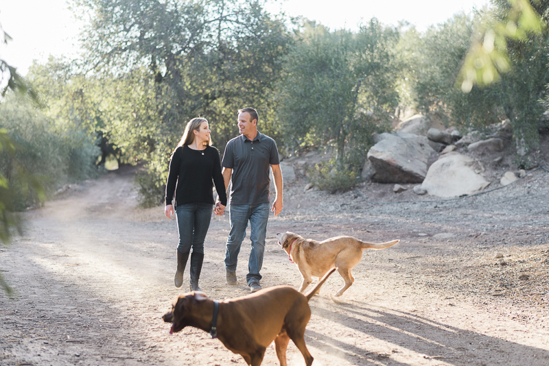 dogs playing offleash, Ojai Olive Oil | ©Jennifer Lourie Photograpy 