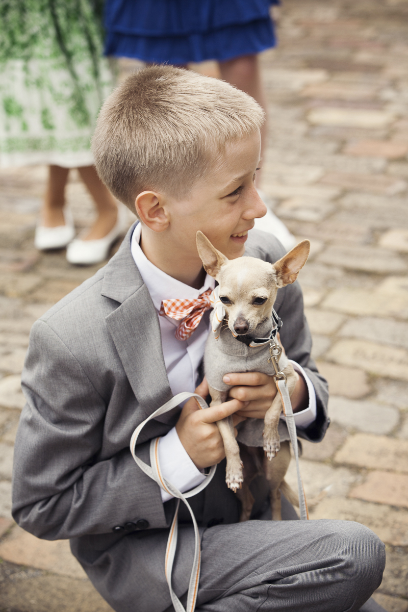 little box in tux holding Chihuahua, wedding dog ©Stephanie Cristalli Photography | dog-friendly wedding