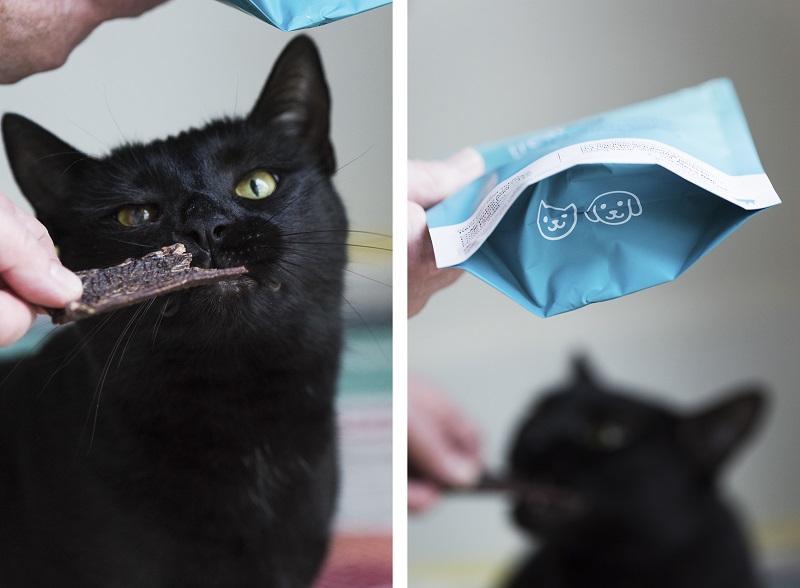 black cat eating jerky treat from NomNomNow