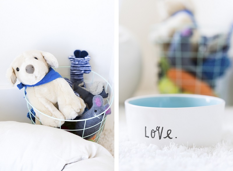 stuffed dog toys, ceramic water bowl, dog-friendly home office