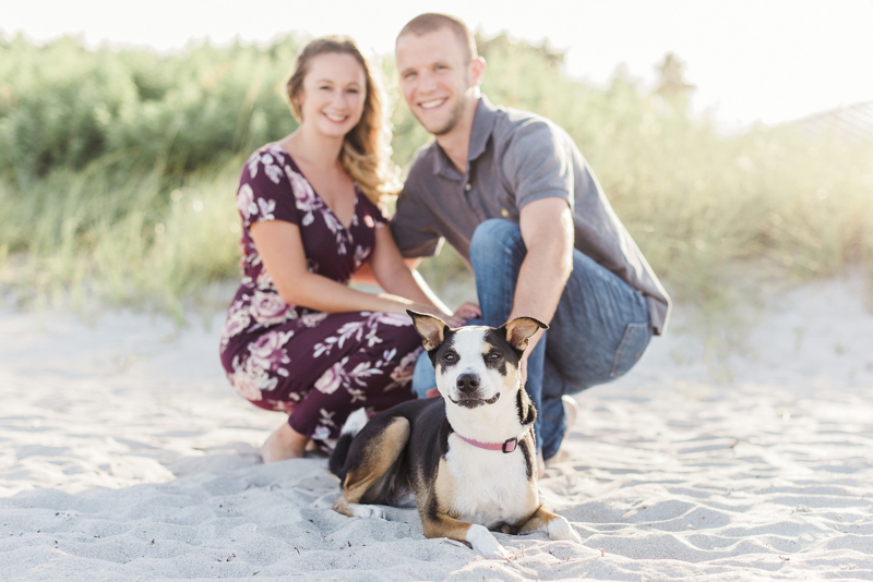 Collie-Heeler mix and her humans at the beach, ©Liz Cowlie Photography-dog-friendly engagement session