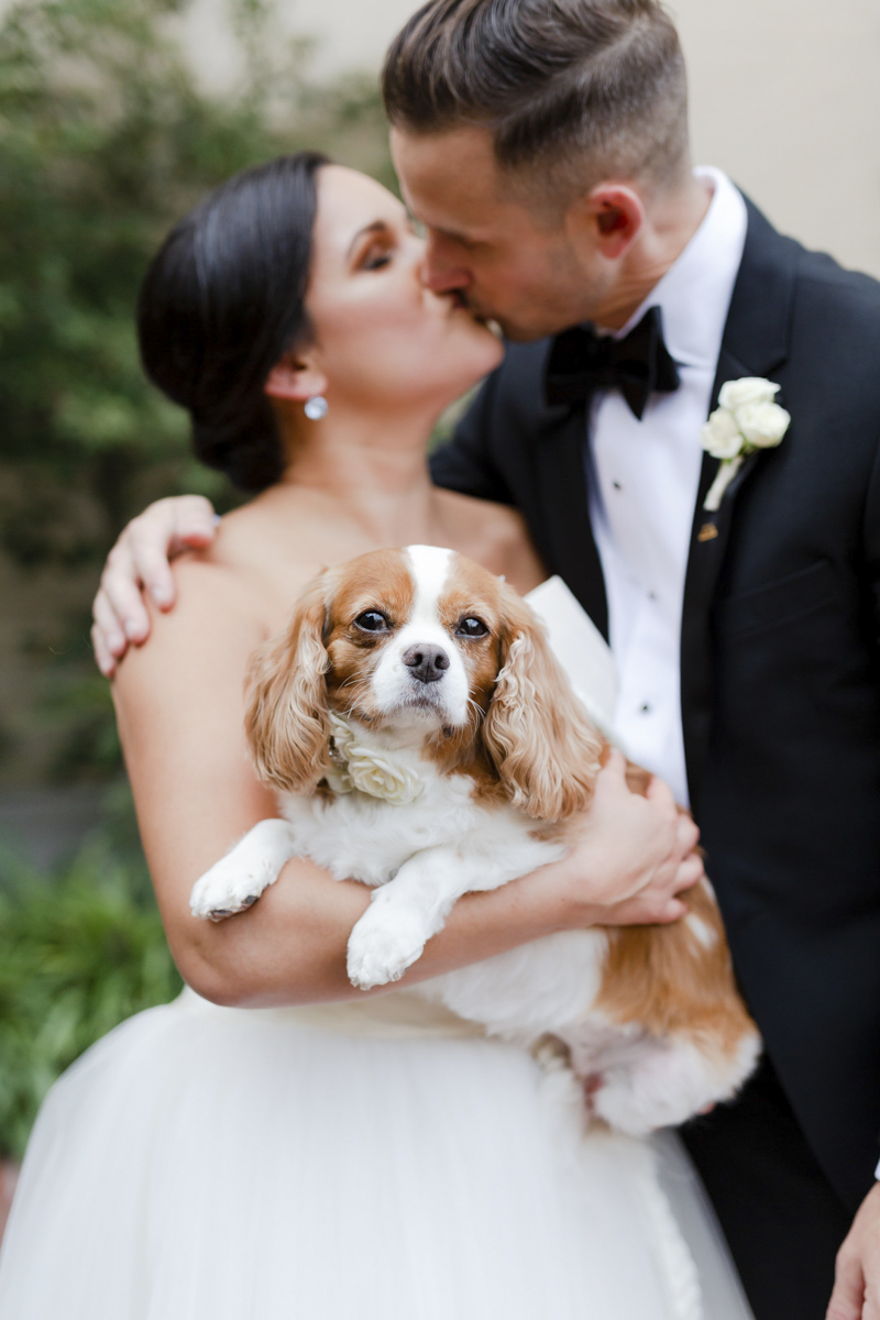 wedding dog, bride and groom, | ©Luke & Ashley Photography | Nothern Virginia Wedding Photography