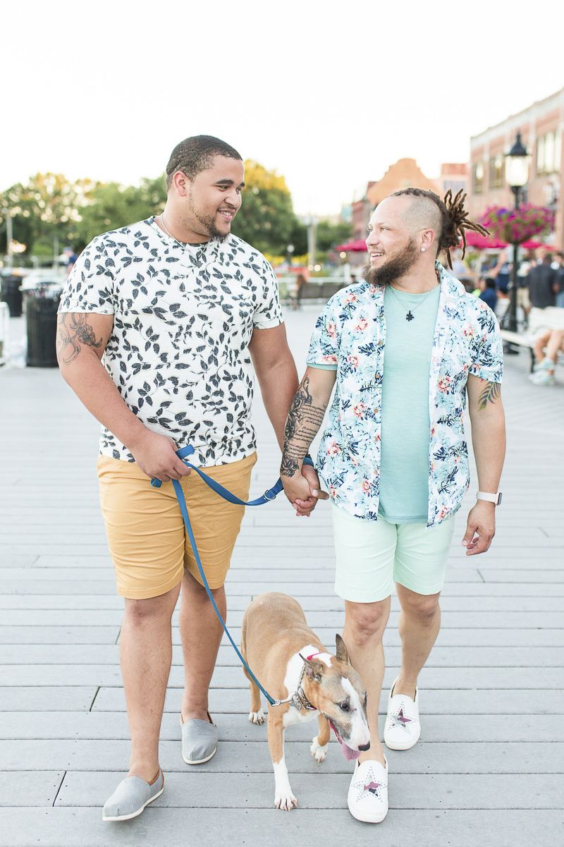 couple walking hand in hand while walking their Bull Terrier, ©Megan Rei Photography | lifestyle dog photography, Old Town Alexandria, LGBTQ engagement session