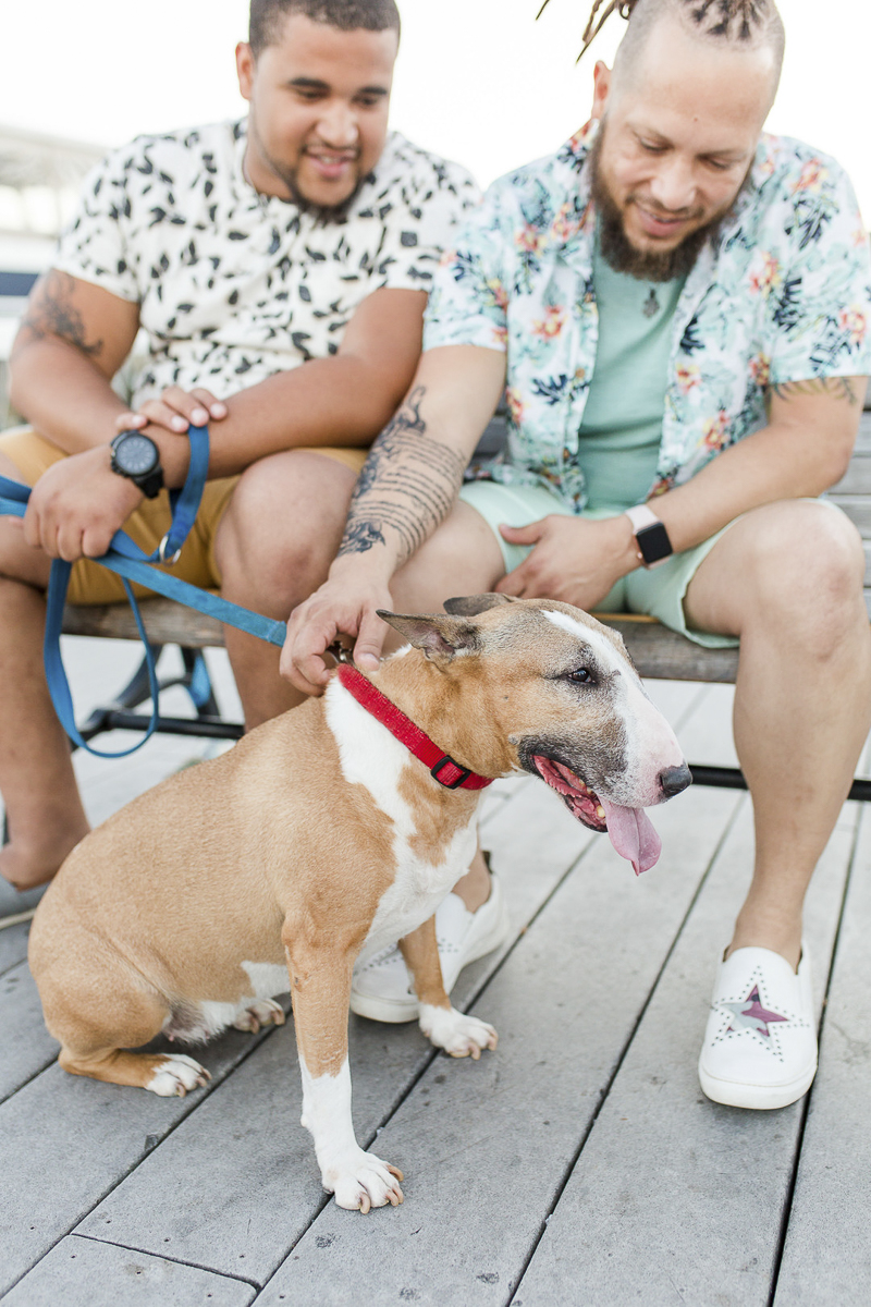 Bull Terrier with her dads, dog dads sitting on a bench | ©Megan Rei Photography | DC wedding and family photography