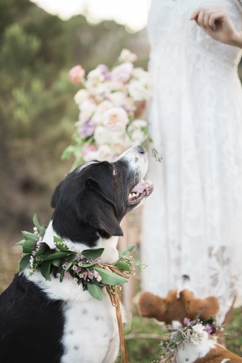 ©My Sun And Stars | San Diego dreamy styled shoot with dogs and flowers