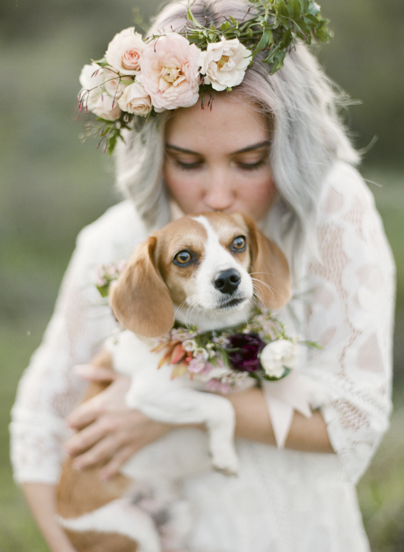 dogs and flowers inspiration, woman wearing floral crown kissing beagle mix | ©My Sun And Stars