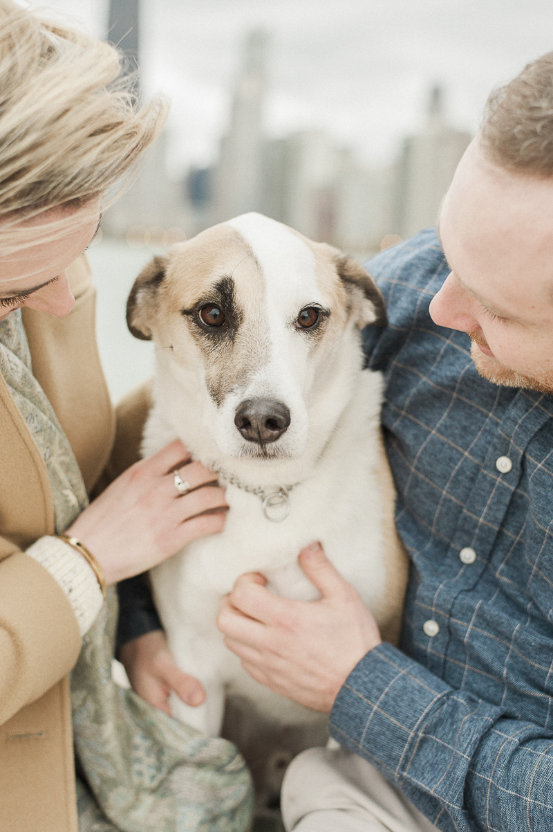 sweet brown and white mixed breed, engagement photos with a dog ©Nicole Jansma Photography