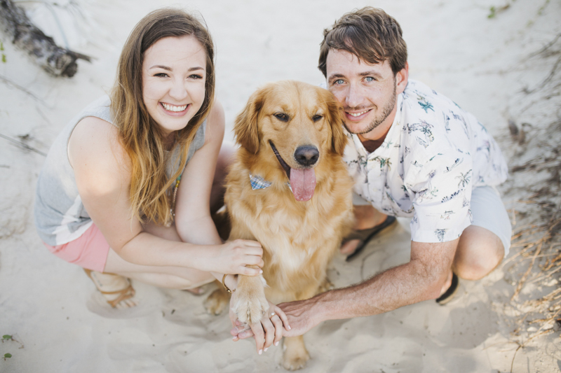 Engaging Tails:  Boomer the Golden Retriever, St. Simons Island
