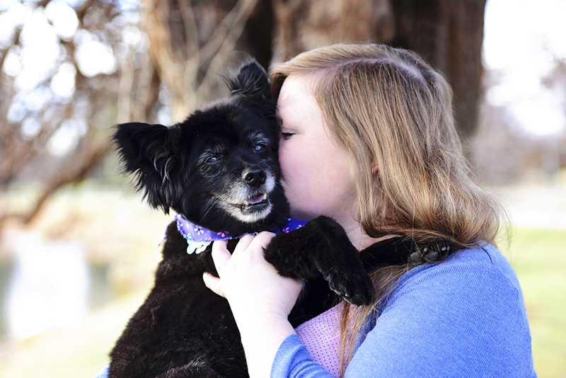 love between dogs and humans, woman holding her senior Pomeranian mix