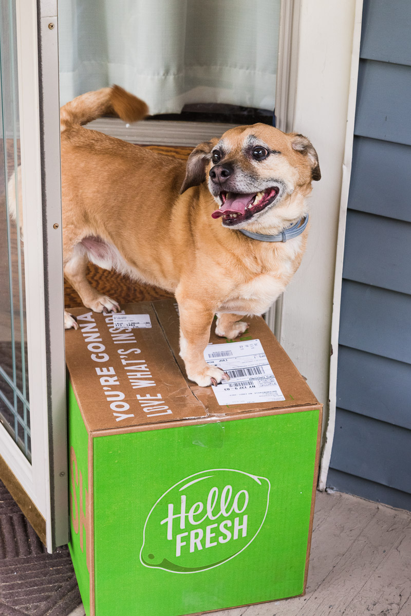 Happy Dog on box of food, subscription meal planning, Hello Fresh, ©Alice G Patterson Photography