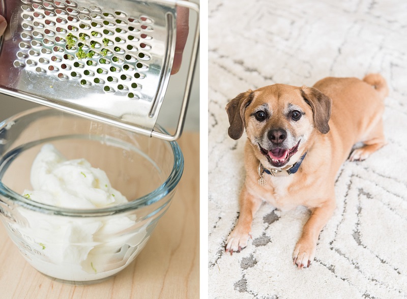 dog hoping for food to drop, meal prep for Hello Fresh | ©Alice G Patterson Photography