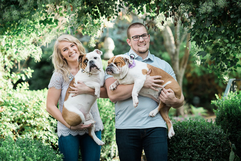 couple holding their furbabies, English Bulldogs | ©Allie Siarto & Co. Photography, engagement photos with dog