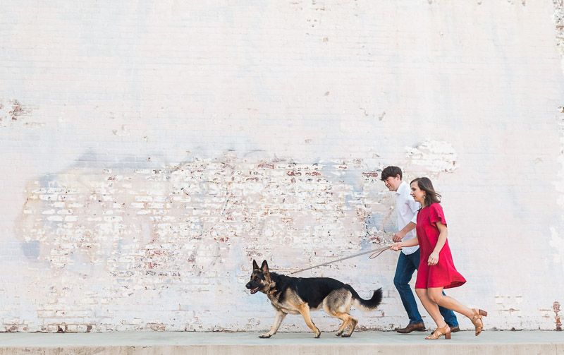 German Shepherd leading the way, ideas for photos with a dog, ©Story & Rhythm, Raleigh, NC engagement session