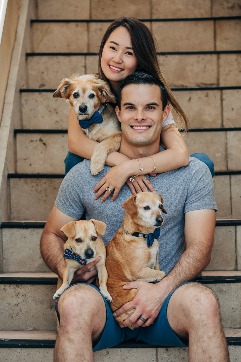 couple and their 3 rescue dogs sitting on steps, dachshund mix, ©222 Photography | dog-friendly family photos
