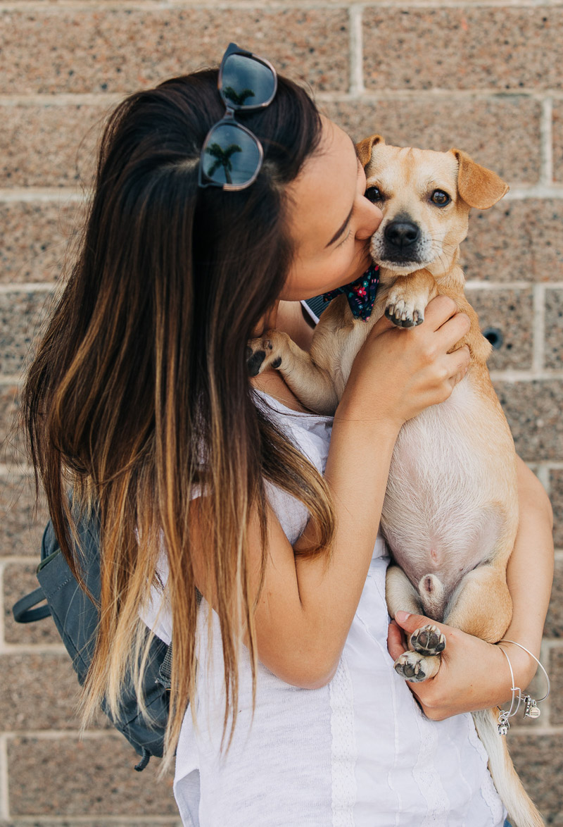 woman kissing mixed breed, doxie mix, adopt, don't shop ©222 Photography | lifestyle dog photography, Huntington Beach